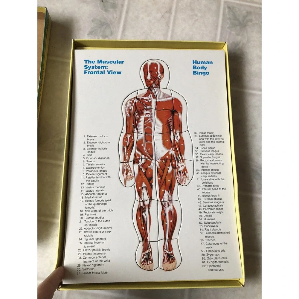 Vintage Human Body‎ Bingo Puzzle , Anatomy Biology Life Science Safari LTD